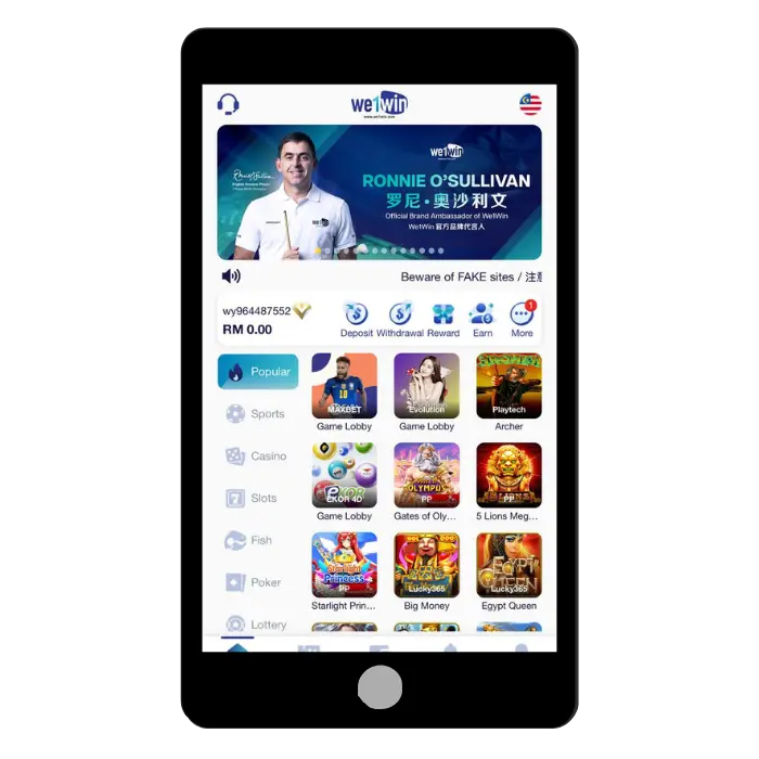 We1win Casino Login
